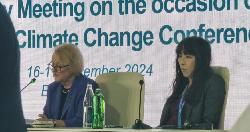 İqlim dəyişikliyi daha çox qadınlara təsir edir - Jan Beagle