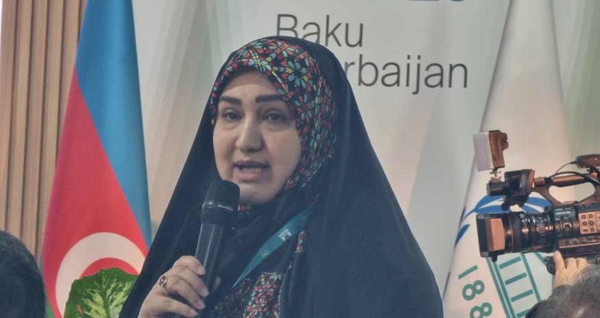 Bu pulları havanı çirkəndirlənlər verməlidir - İranlı ekoloq