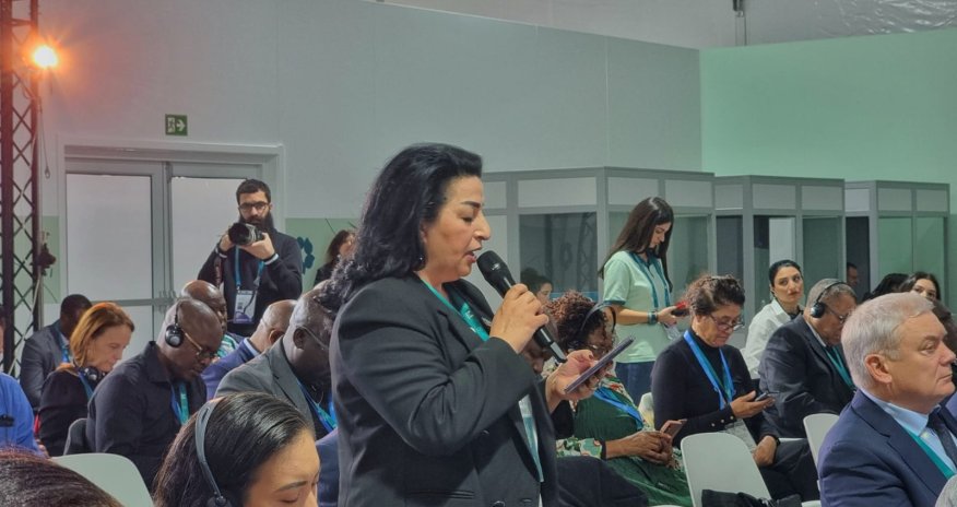 Qarabağda yaradılan yaşıl enerji zonaları ekologiyanı mənfi təsirlərdən qoruyacaq - Deputat