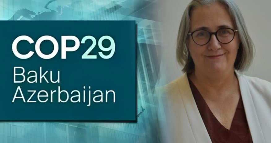 WCO official: Green Customs Action Plan allows for joint environmental initiatives