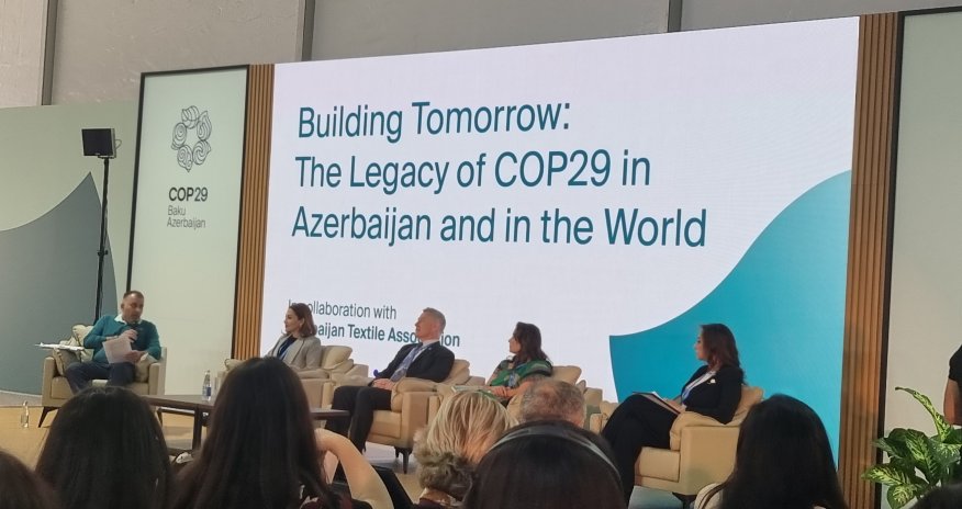 COP29 özəl şirkətlər üçün təcrübə oldu  - Natavan Məmmədova