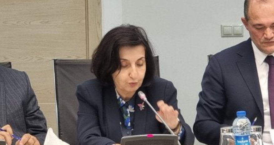 Dairələr üzrə bütün deputatlar ofislə təmin olunmalıdır - Gülşən Paşayeva