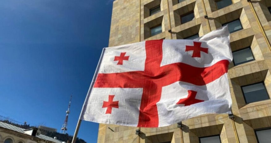 Замглавы МИД и посол Грузии в США подали в отставку на фоне протестов