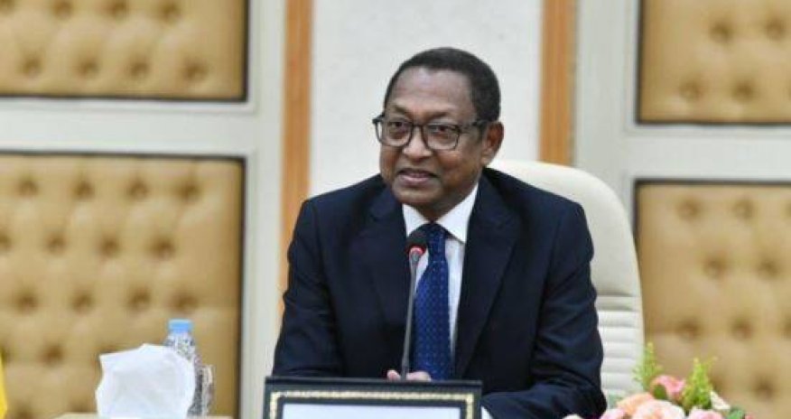 Nazir Azərbaycanı Afrikaya investisiya qoymağa çağırıb