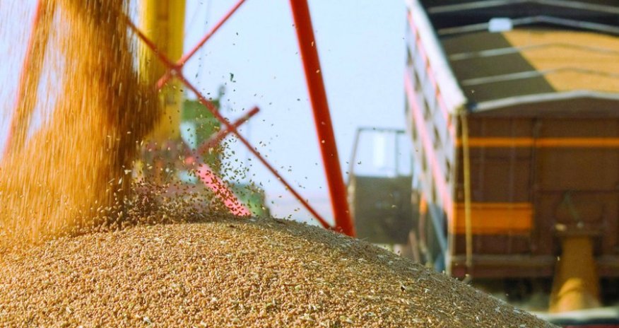 KTZ reveals volume of grain shipped to Azerbaijan