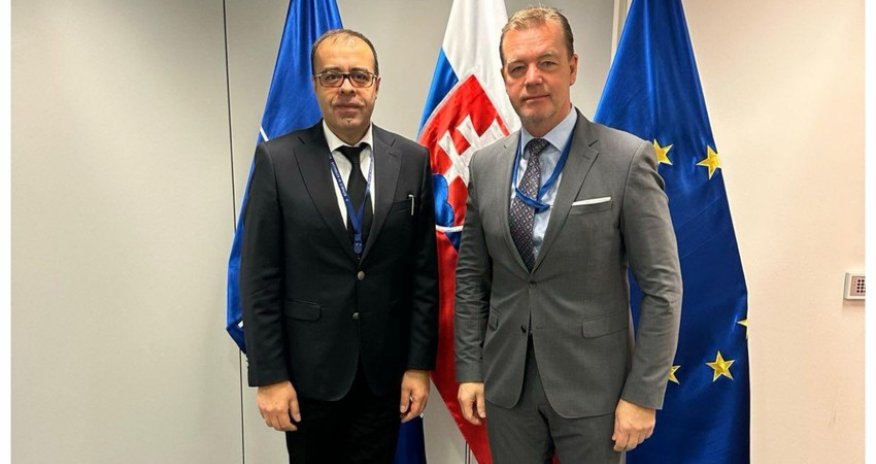 Azerbaijan, Slovakia discuss key aspects of cooperation with NATO