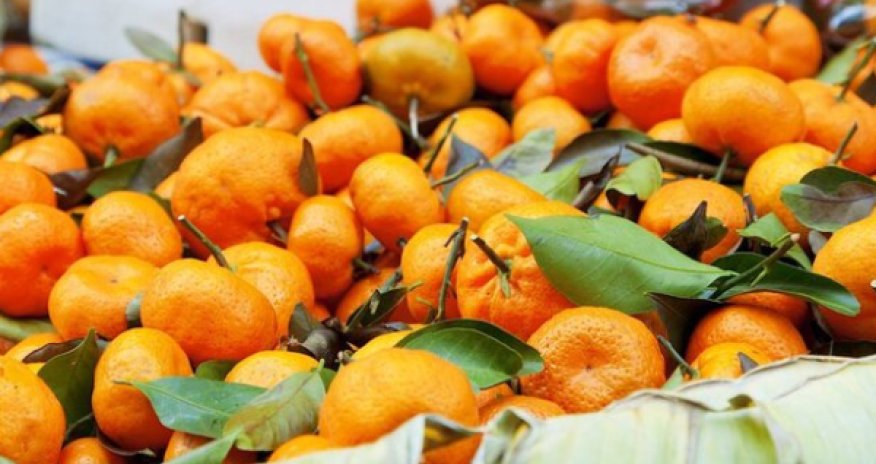 Rusiya Abxaziyadan mandarinlərin idxalını qadağan edib