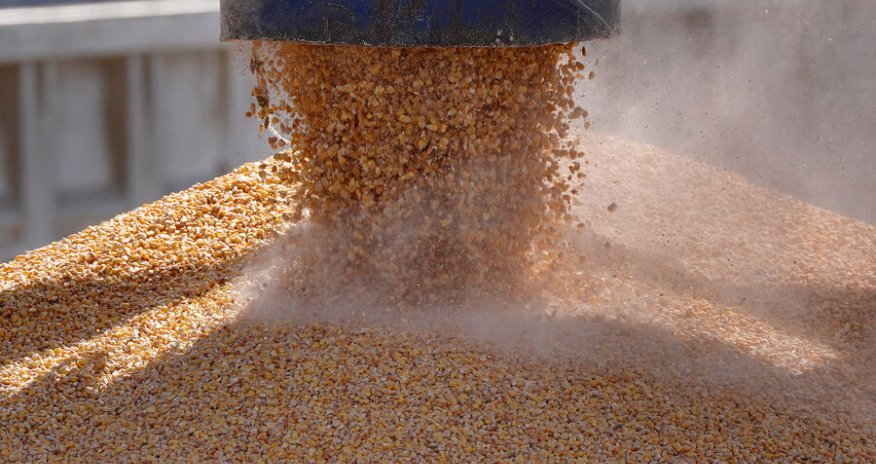 Rusiya bir səhvə görə Fransadan toxum idxalına qadağa qoyub