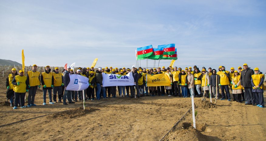 Yelo Bank dedi və etdi: hər müştəri üçün bir ağac!