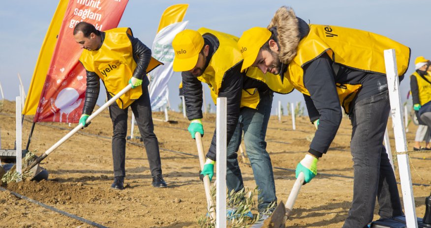 Yelo Bank empowers nature: a tree for each customer