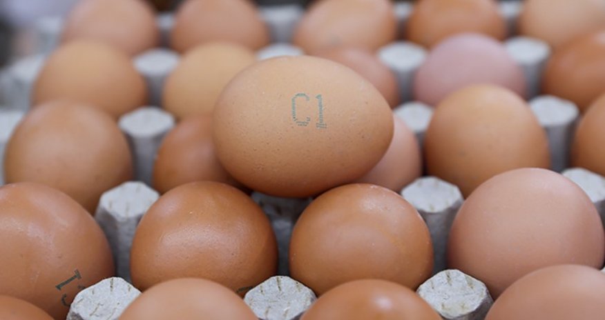 Цены на яйца в США за полгода взлетели на 35%