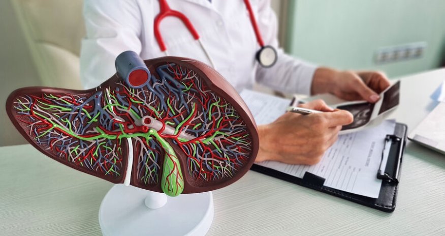 Hepatit virusunun mənşəyi məlum oldu