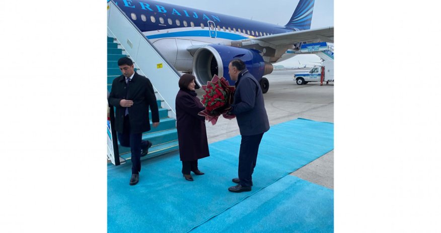 Sahibə Qafarova Türkiyəyə rəsmi səfərə gedib