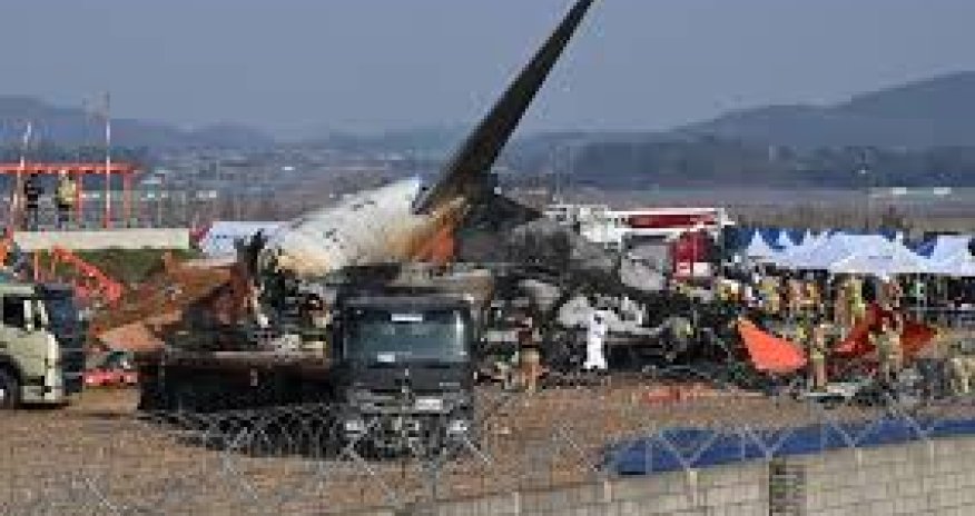 Cənubi Koreyada bütün 