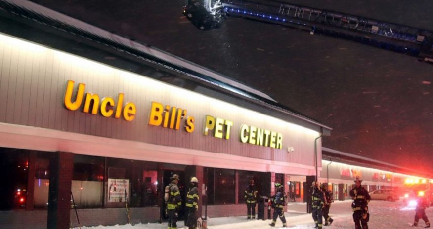 ABŞ-də zoomağazada baş verən yanğında 500-dən çox heyvan ölüb