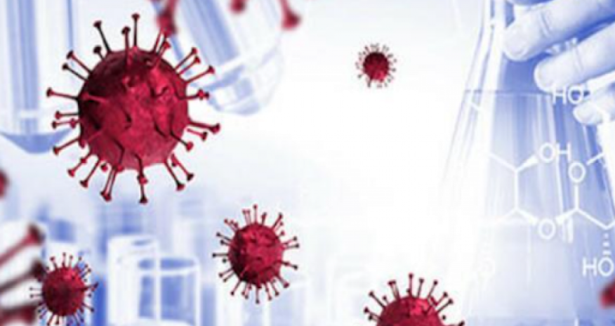 ÇİN XİN ölkədə yeni yoluxucu virus yayılması ilə bağlı məlumatları təkzib edib