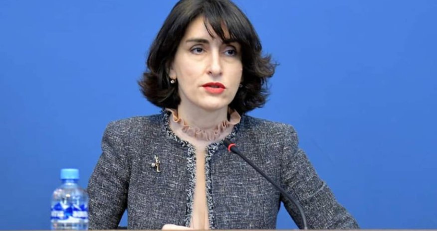 Gürcüstanın XİN rəhbəri Azərbaycana gələcək