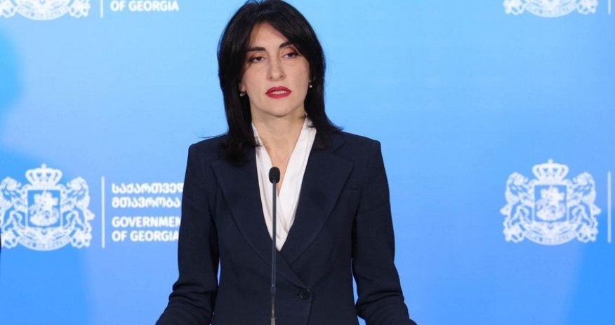 Глава МИД Грузии прибудет в Азербайджан 16 января