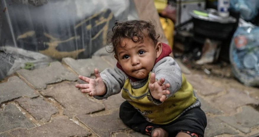 Ceasefire deal on Gaza implies release of 33 hostages during 1st stage — newspaper