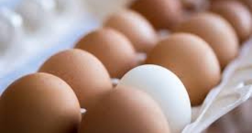 ABŞ-də yumurta qıtlığı yaşanır