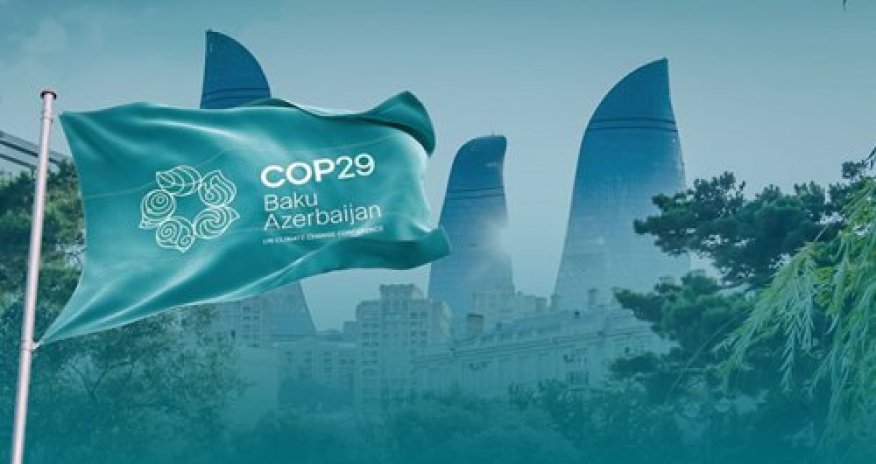 COP29 könüllülərinə 1500 manat veriləcək