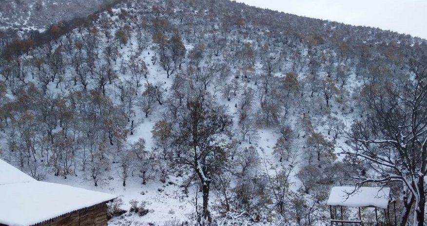 В Губе выпало 20 см снега - ФАКТИЧЕСКАЯ ПОГОДА