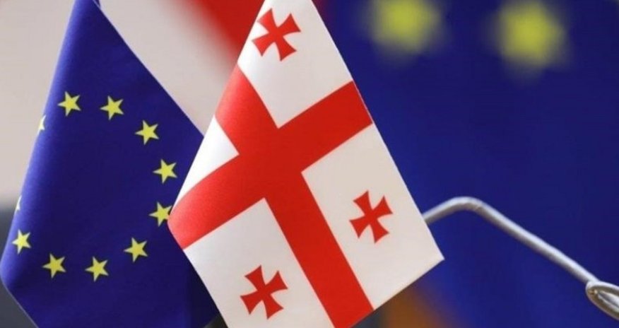 ЕС частично приостановил безвизовый режим с Грузией