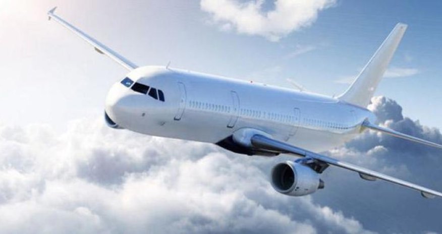 В Казахстане самолет столкнулся со стаей птиц