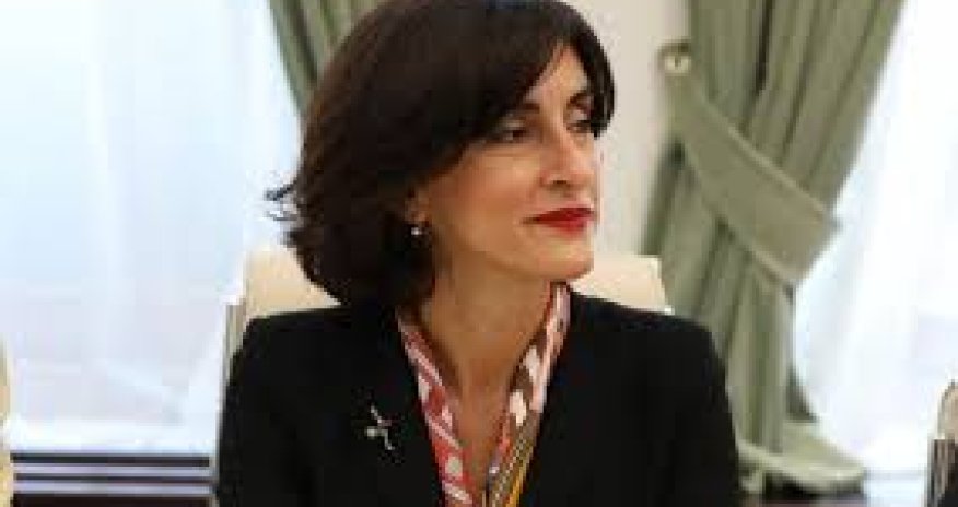 Gürcüstan xarici işlər naziri Ermənistana səfər edəcək