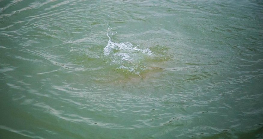 В Агджабединском районе в водоканале утонул человек