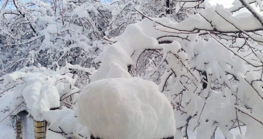 Снег, дождь и ветер - Фактическая погода