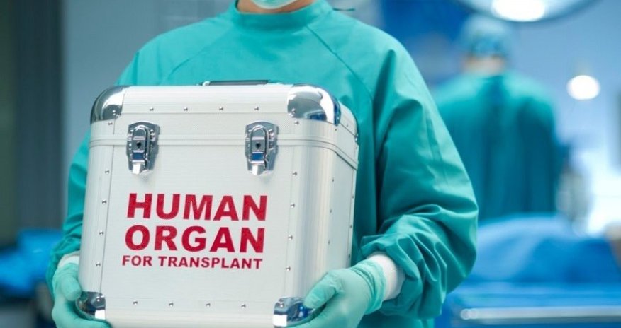 Ümid edirik meyitdən donor köçürülməsi davamlı olacaq - Rəşad Mahmudov