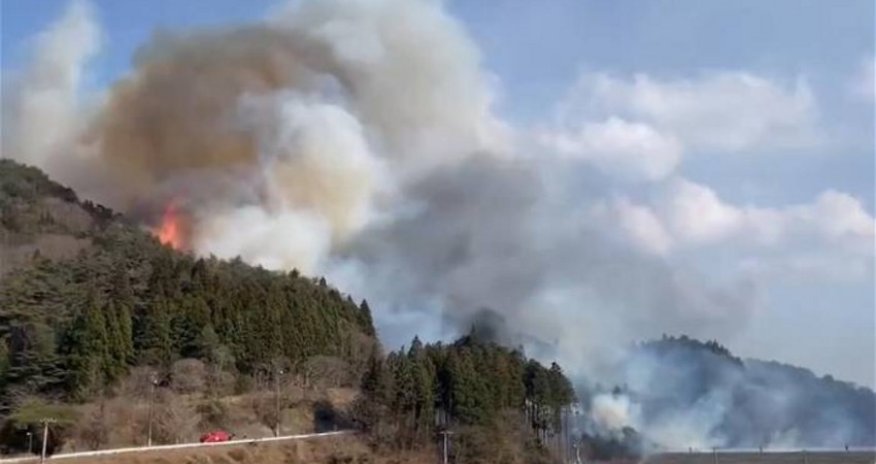 В Японии лесные пожары охватили 1,8 тыс. га