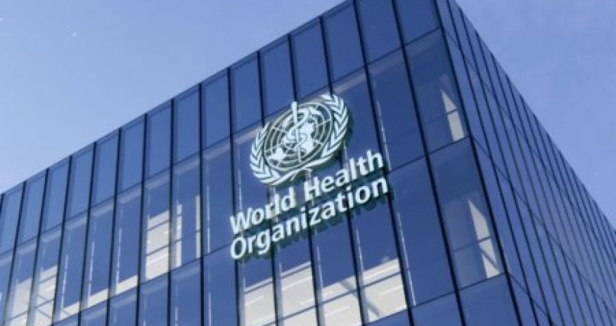 14 min Qəzza sakini anklavdan təxliyə edilməlidir - ÜST