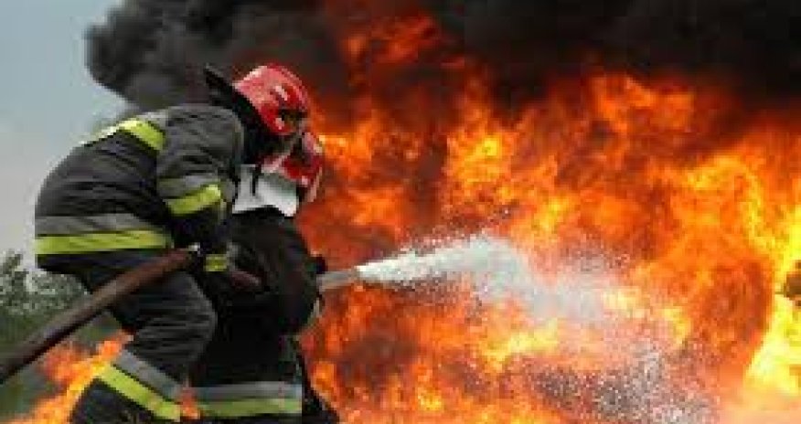 В Шамкире пожар охватил более 5 га территории