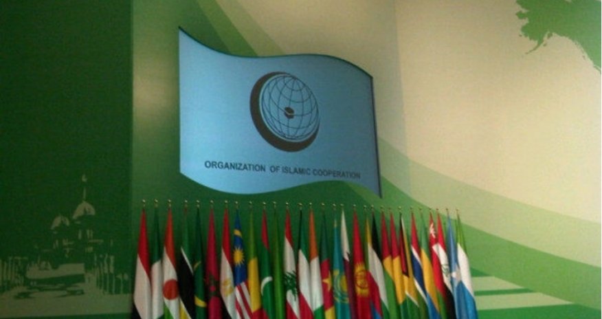 Главы МИД стран ОИС требуют вывода израильских войск из Сирии