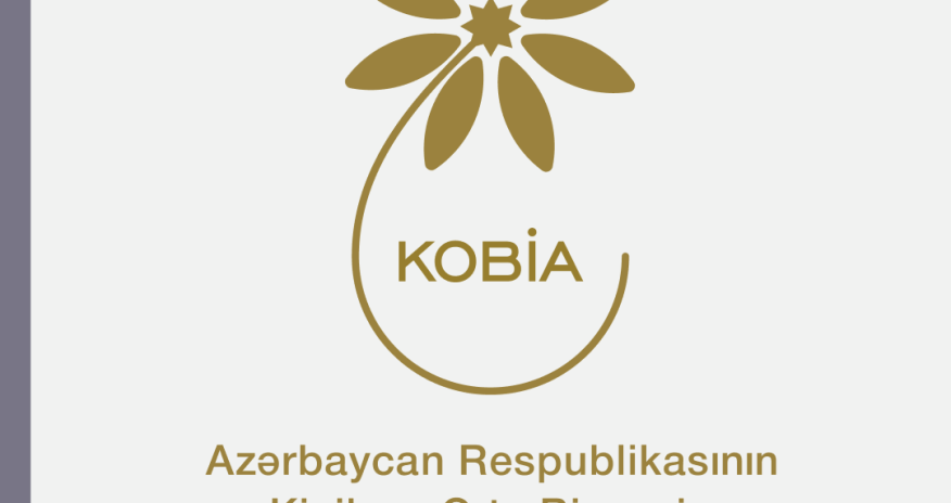 "Startap" şəhadətnaməsi almış KOB-ların sayı açıqlanıb