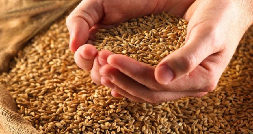 Ərzaq təhlükəsizliyinə ayrılan vəsait azaldılıb