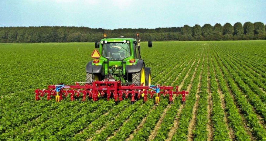 Azərbaycanda aqrar sektor böyüyüb