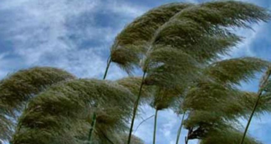 Küləkli hava şəraiti ilə bağlı sarı və narıncı xəbərdarlıq verilib