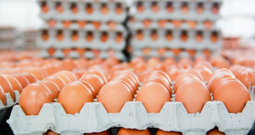 Azərbaycandan ABŞ-yə yumurta ixracına başlanılır