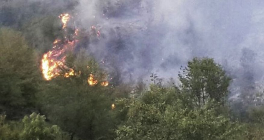 Qaxda dağlıq ərazi yanır