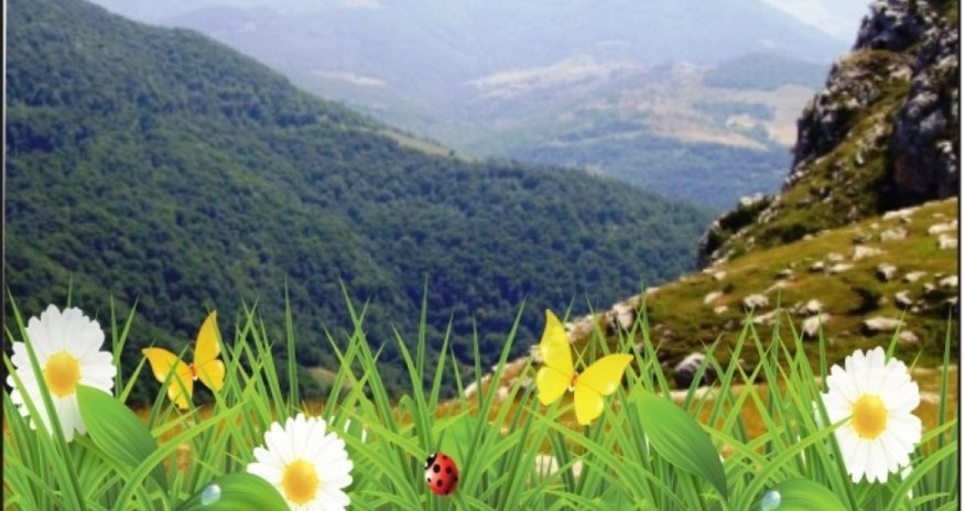 Azərbaycana yaz fəsli daxil olub