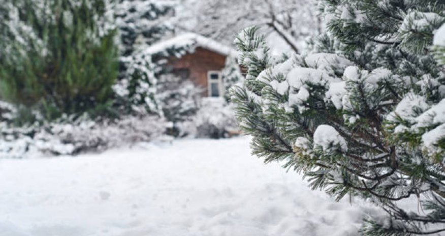 Bəzi rayonlara qar yağır - Faktiki hava