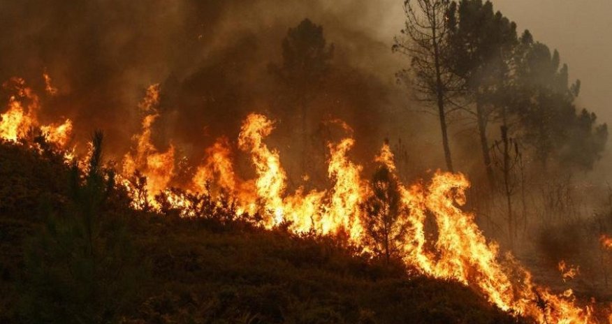 В Японии в двух префектурах объявили эвакуацию жителей из-за лесных пожаров