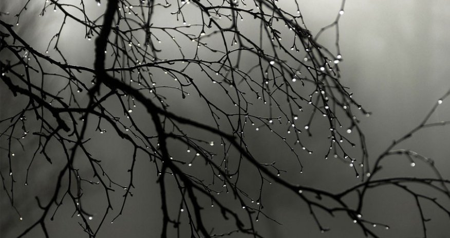 Bəzi bölgələrə yağış yağır - Faktiki hava