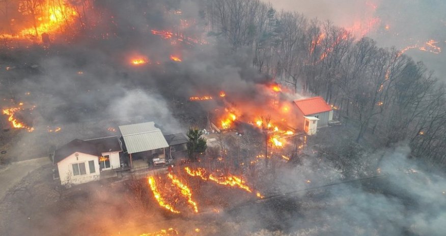 Число жертв лесных пожаров в Южной Корее выросло до 26 человек