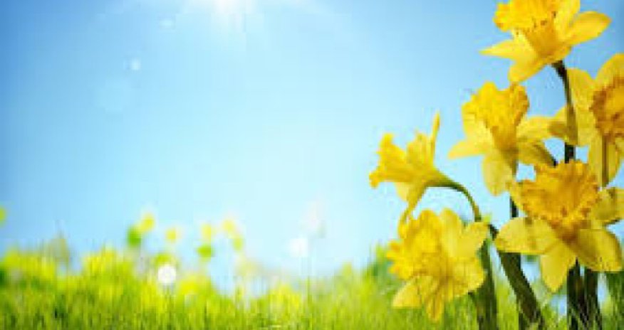 Sabahın hava proqnozu