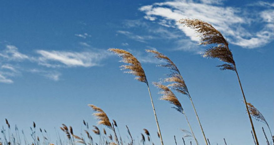 Növbəti iki gündə güclü külək əsəcək - XƏBƏRDARLIQ