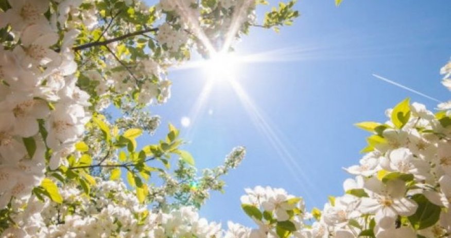 Sabahın hava proqnozu açıqlanıb